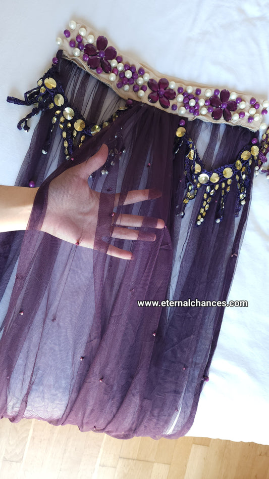 Ensemble professionnel danse orientale haute qualité Taille standard (bonnet 80/85 B/C)